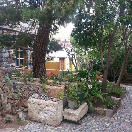 Casa Curtos Leilighet Catorce Rom bilde