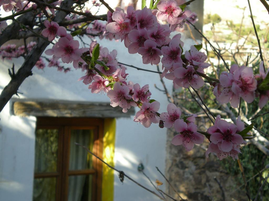 Casa Curtos Leilighet Catorce Rom bilde